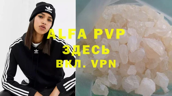 a pvp Магас