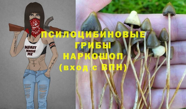 a pvp Майский