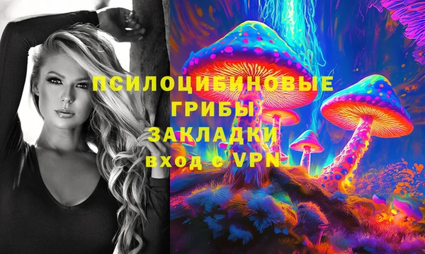 Альфа ПВП Магадан